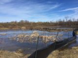 Storm Water Management Pond. A wonderful natural habitat.